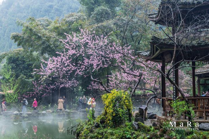 英国势力并不强，为什么在国际上很狂妄？