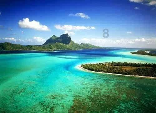 颜控最爱的秋海棠，推荐你养一盆游戏画面